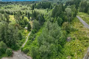 108 Savio Rd E, Randle, WA 98377 - Photo 12