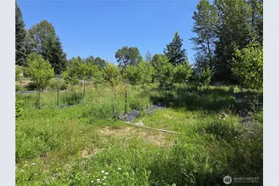 108 Savio Road E, Randle, WA 98377 - Photo 32
