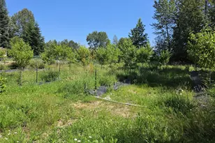 108 Savio Rd E, Randle, WA 98377 - Photo 32