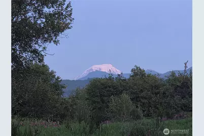 108 Savio Road E, Randle, WA 98377 - Photo 22