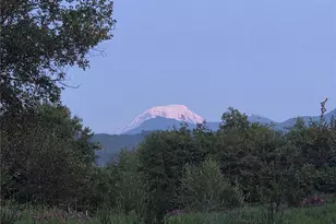 108 Savio Rd E, Randle, WA 98377 - Photo 22
