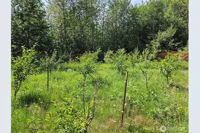 108 Savio Road E, Randle, WA 98377 - Photo 28
