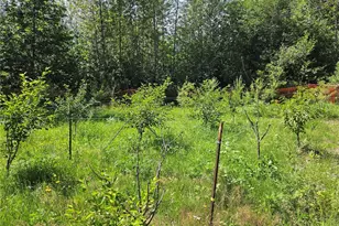 108 Savio Rd E, Randle, WA 98377 - Photo 28