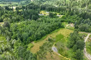 108 Savio Rd E, Randle, WA 98377 - Photo 14