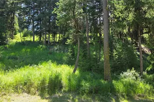 111 Tbd Amanda Rd, Oroville, WA 98270 - Photo 28