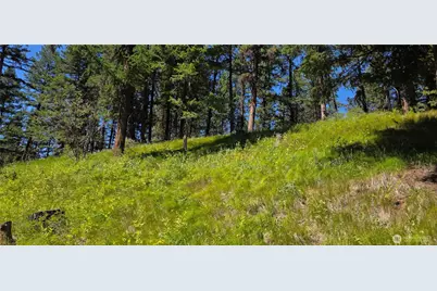 111 Tbd Amanda Rd, Oroville, WA 98270 - Photo 24