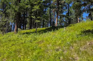 111 Tbd Amanda Rd, Oroville, WA 98270 - Photo 24