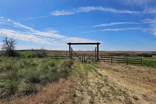 24414 Seven Springs Dairy Road E, Harrington, WA 99134 - Photo 2