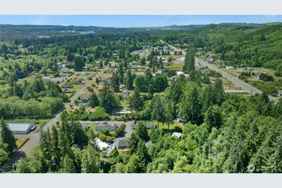 313 Hemlock Park Lane, Aberdeen, WA 98520 - Photo 30