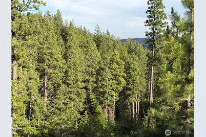 1524 Nasty Creek Road, Yakima, WA 98903 - Photo 36