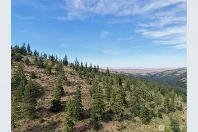 1524 Nasty Creek Road, Yakima, WA 98903 - Photo 10