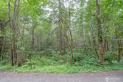 0 E Tepee Lane, Belfair, WA 98528 - Photo 4