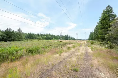 0 E Tepee Lane, Belfair, WA 98528 - Photo 8