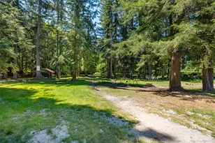 42129 Pine St, Concrete, WA 98237 - Photo 40