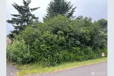 342 N Razor Clam Drive, Ocean Shores, WA 98569 - Photo 1