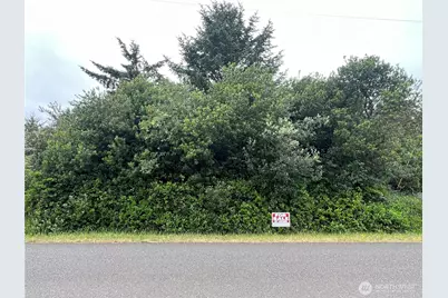 342 N Razor Clam Drive, Ocean Shores, WA 98569 - Photo 2