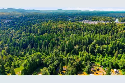 24847 208th Avenue SE, Maple Valley, WA 98038 - Photo 32