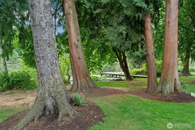 1132 N 198th Street #C302, Shoreline, WA 98133 - Photo 22