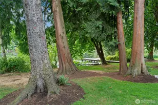 1132 N 198th St, Shoreline, WA 98133 - Photo 22