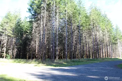 152 Onalaska, Onalaska, WA 98570 - Photo 32