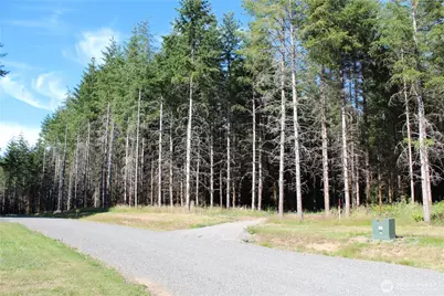 152 Vetter Lane, Onalaska, WA 98570 - Photo 1
