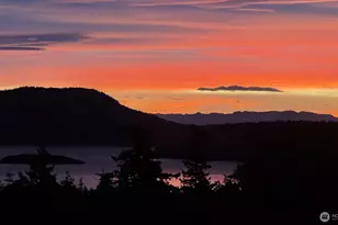259 Willbrook Ln, Lopez Island, WA 98261 - Photo 6