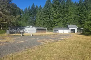 24707 Sr 706 E, Ashford, WA 98304 - Photo 1
