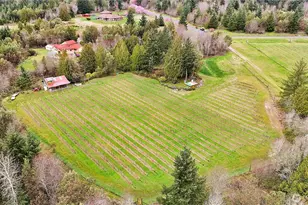 1673 Woodland Dr, Port Townsend, WA 98368 - Photo 6