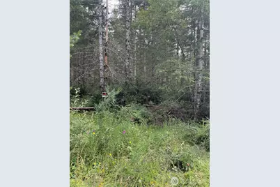 361 E Morris Creek Road, Belfair, WA 98528 - Photo 2