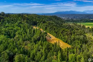 29935 NE Tolt Hill Rd, Carnation, WA 98014 - Photo 12