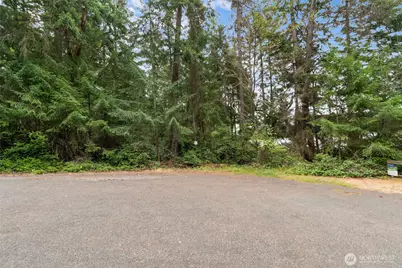 10718 Trout Place, Anderson Island, WA 98303 - Photo 6