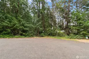 10718 Trout Pl, Anderson Island, WA 98303 - Photo 6