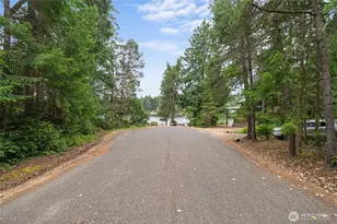 10718 Trout Pl, Anderson Island, WA 98303 - Photo 12