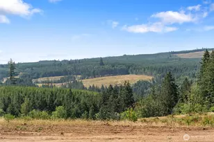 597 Brown Rd, Adna, WA 98522 - Photo 4