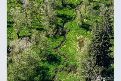 597 Brown Road, Adna, WA 98522 - Photo 14