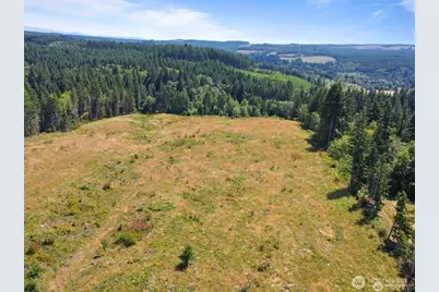 597 Brown Road, Adna, WA 98522 - Photo 12