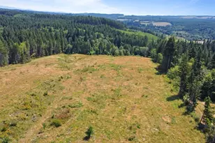597 Brown Rd, Adna, WA 98522 - Photo 12