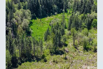 607 Brown Road, Adna, WA 98522 - Photo 14