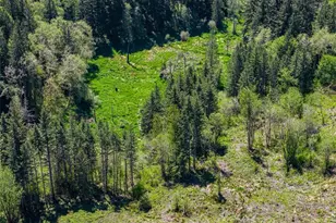 607 Brown Rd, Adna, WA 98522 - Photo 14