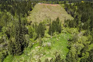 607 Brown Rd, Adna, WA 98522 - Photo 12