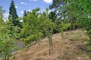 309 129th Street East Ave, Tacoma, WA 98445 - Photo 36