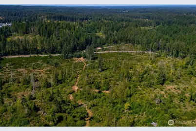 0 Xxxxx Algyer Road SE, Rainier, WA 98576 - Photo 8