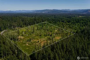 0 Xxxxx Algyer Road SE, Rainier, WA 98576 - Photo 1