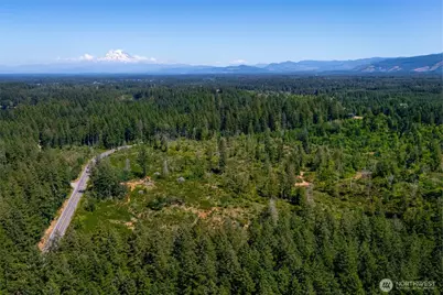 0 Xxxxx Algyer Road SE, Rainier, WA 98576 - Photo 4