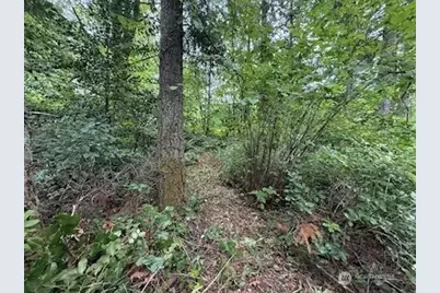 5 Xxx 229th Avenue SE, Issaquah, WA 98027 - Photo 2