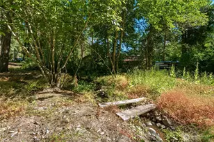 106 109 Mountain Home Park Ln, Dayton, WA 99328 - Photo 24