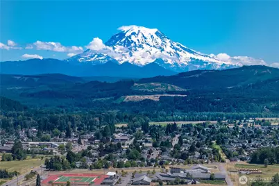 903 Williams Street NW, Orting, WA 98360 - Photo 38