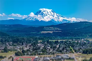 903 Williams St NW, Orting, WA 98360 - Photo 38