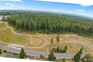 20906 106th St E, Bonney Lake, WA 98391 - Photo 36