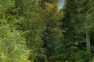 63292 W Ross Pl, Marblemount, WA 98267 - Photo 28